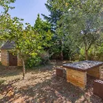 One-bedroom In *