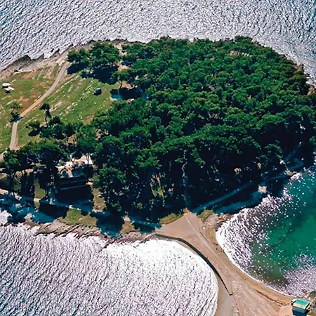 Apartman One-bedroom In Medulin