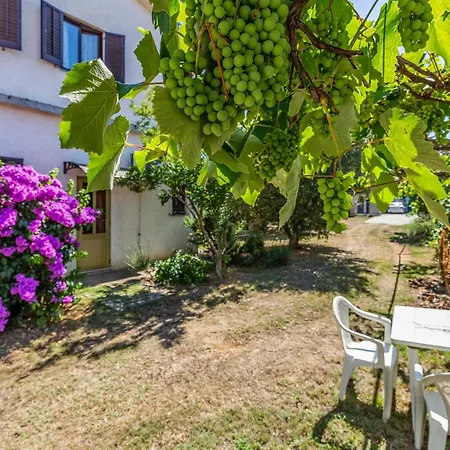 One-bedroom In Appartement Medulin